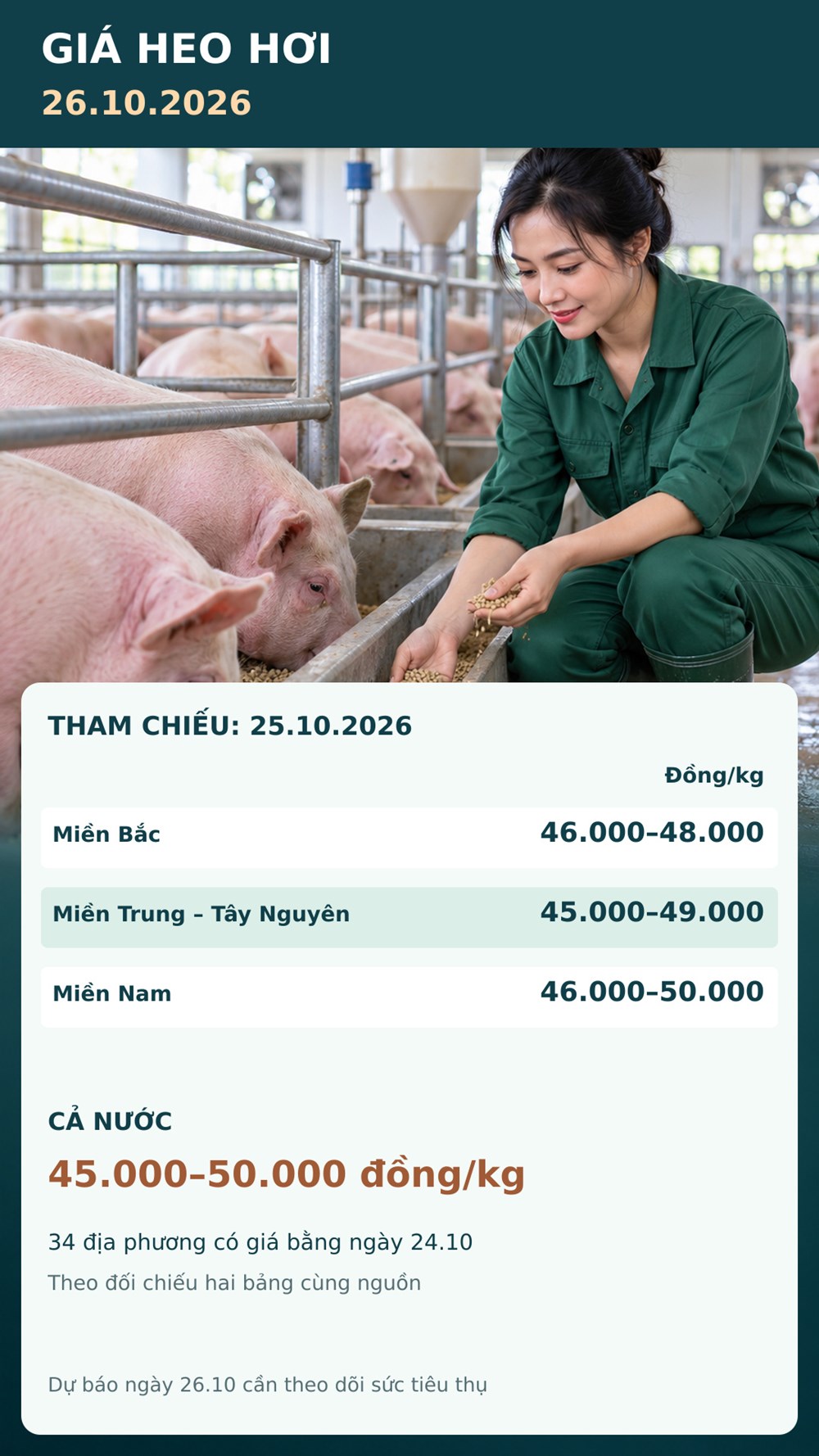 Giá heo hơi hôm nay 26.10.2026: Chờ sức mua sau tuần giảm sâu - ảnh 3