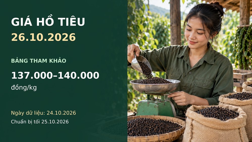 Giá hồ tiêu hôm nay 26.10.2026: Chờ tín hiệu thu mua đầu tuần - ảnh 1