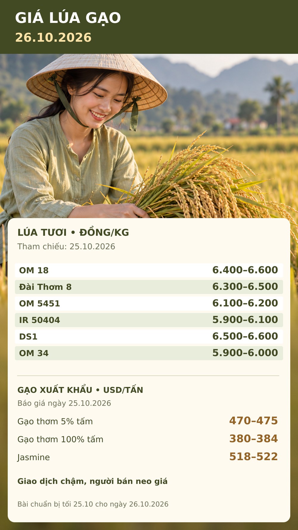 Giá lúa gạo hôm nay 26.10.2026: Người bán giữ giá, giao dịch còn chậm - ảnh 3