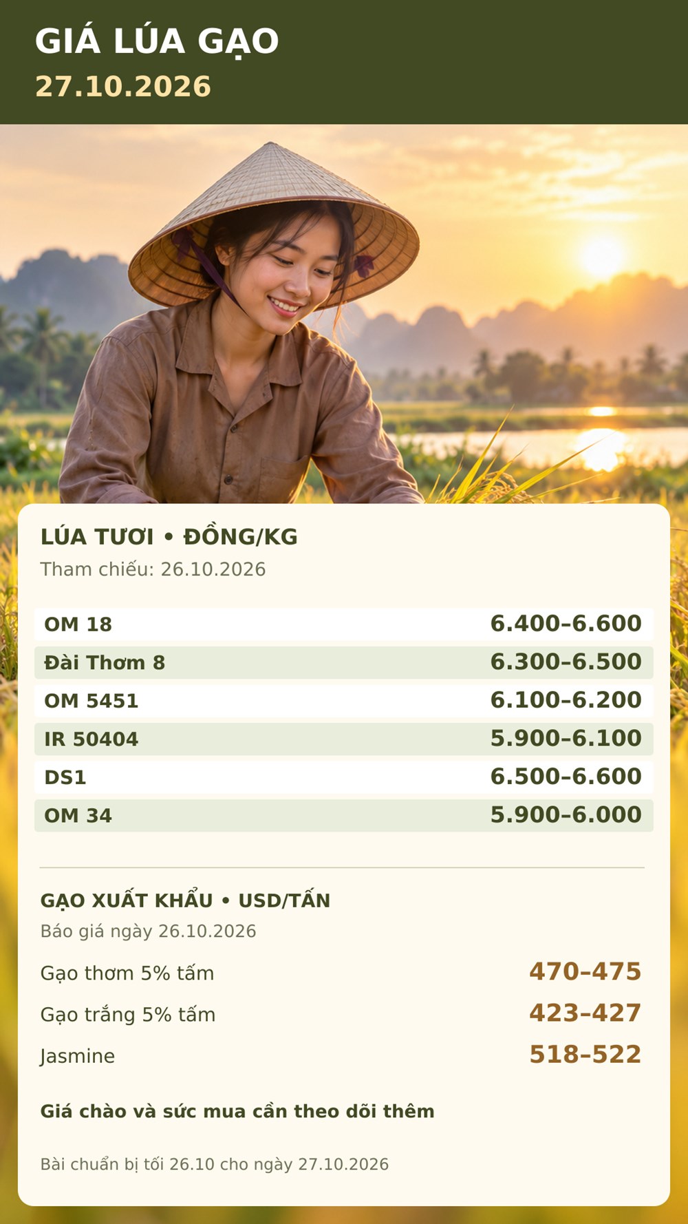 Giá lúa gạo hôm nay 27.10.2026: Gạo thơm xuất khẩu ở mức nào? - ảnh 3