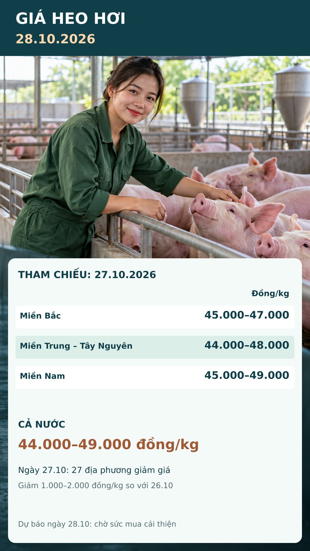 Giá heo hơi hôm nay 28.10.2026: Theo dõi sức mua sau nhịp giảm rộng - ảnh 3