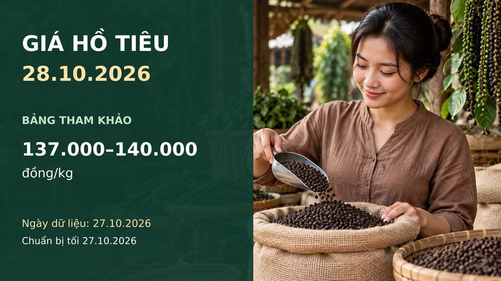 Giá hồ tiêu hôm nay 28.10.2026 và triển vọng phiên giao dịch mới - ảnh 1