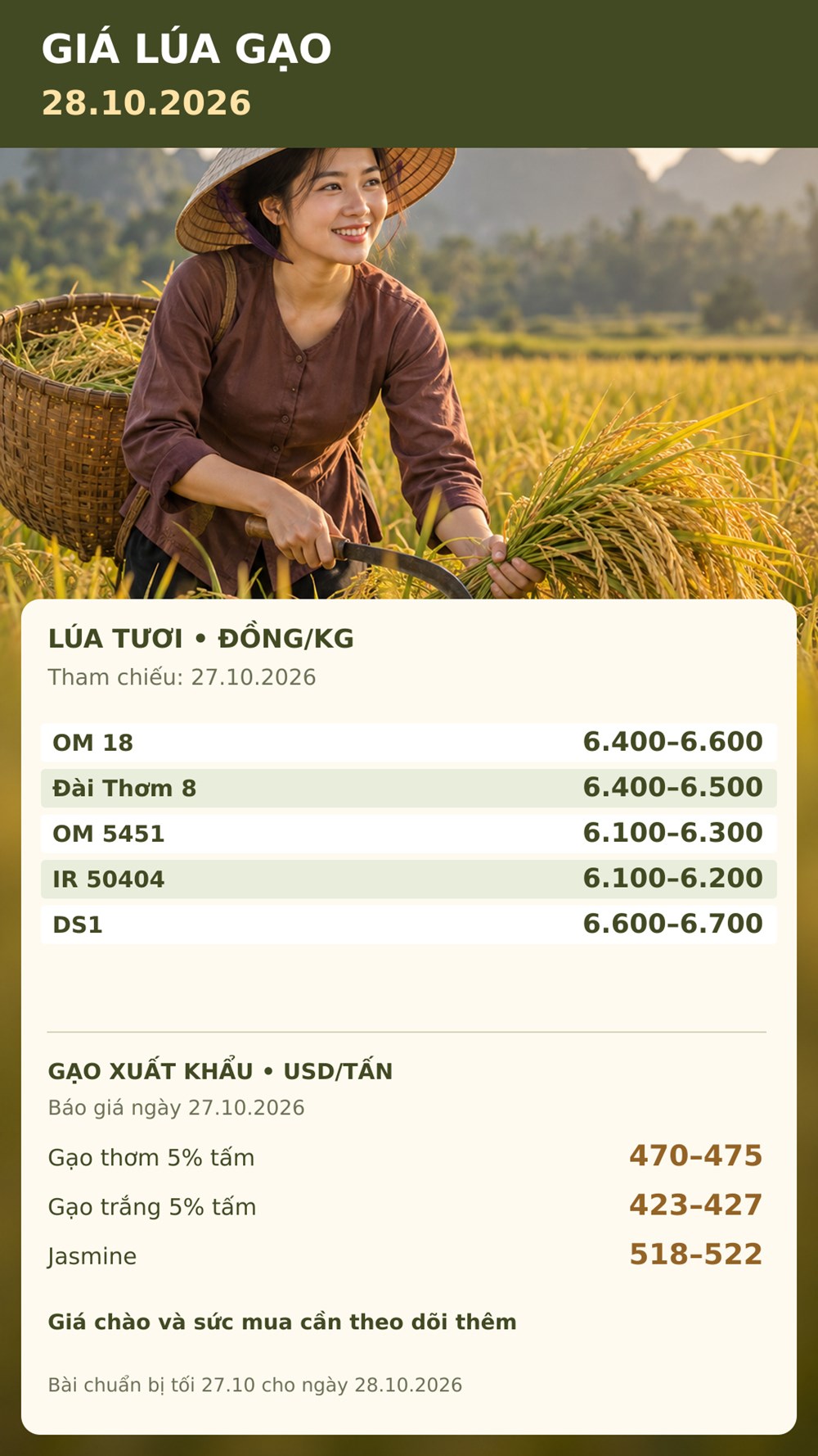Giá lúa gạo hôm nay 28.10.2026: Gạo thơm xuất khẩu được chào bao nhiêu? - ảnh 3