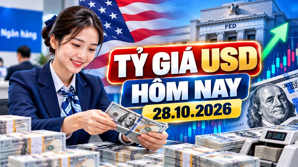 Tỉ giá USD hôm nay 28.10: Vietcombank bán 26.020 đồng, DXY vượt 102 điểm - ảnh 1