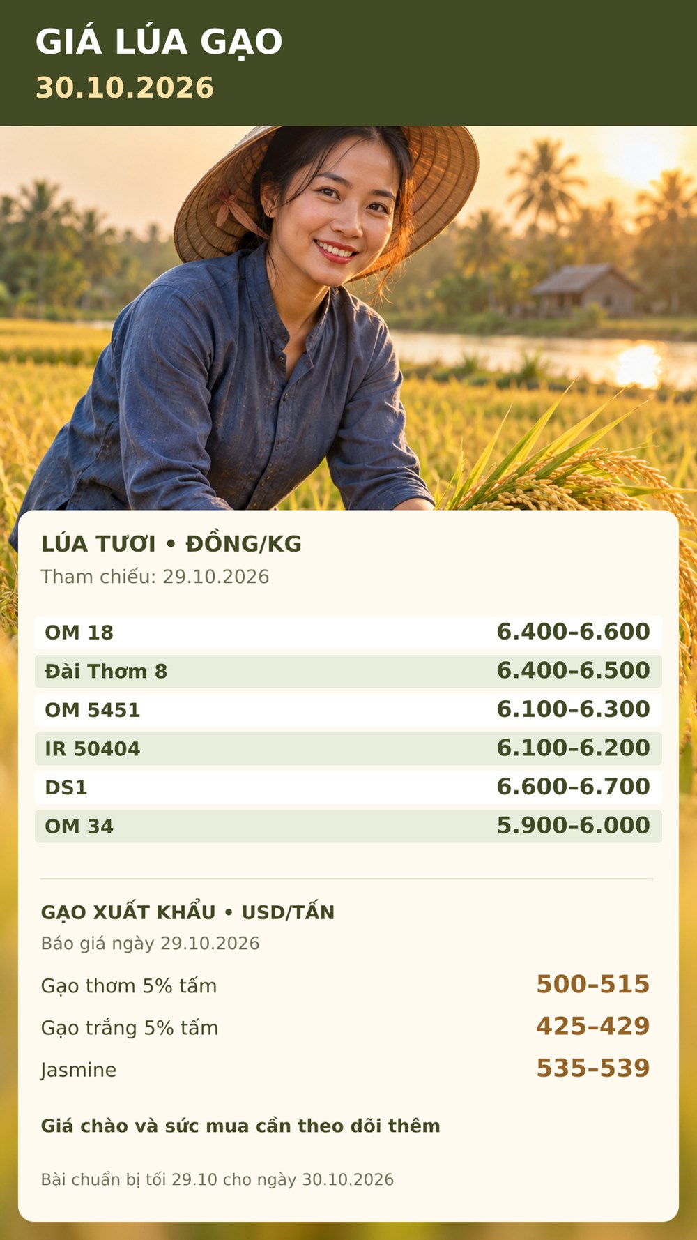 Giá lúa gạo hôm nay 30.10: Giá chào xuất khẩu cao, giao dịch còn chậm - ảnh 3