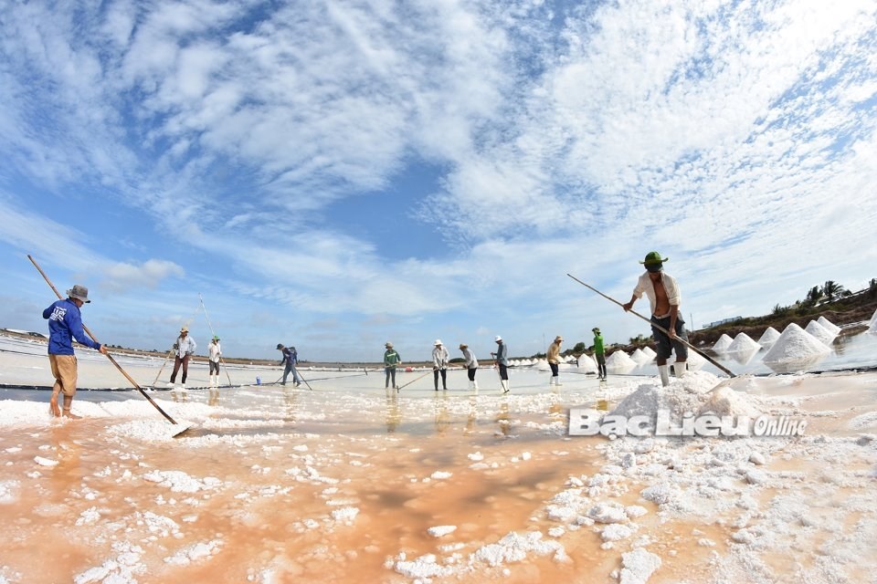 Cuộc thi ảnh thời sự - nghệ thuật “Hành trình trăm năm nghề muối - Đời người“ - ảnh 1