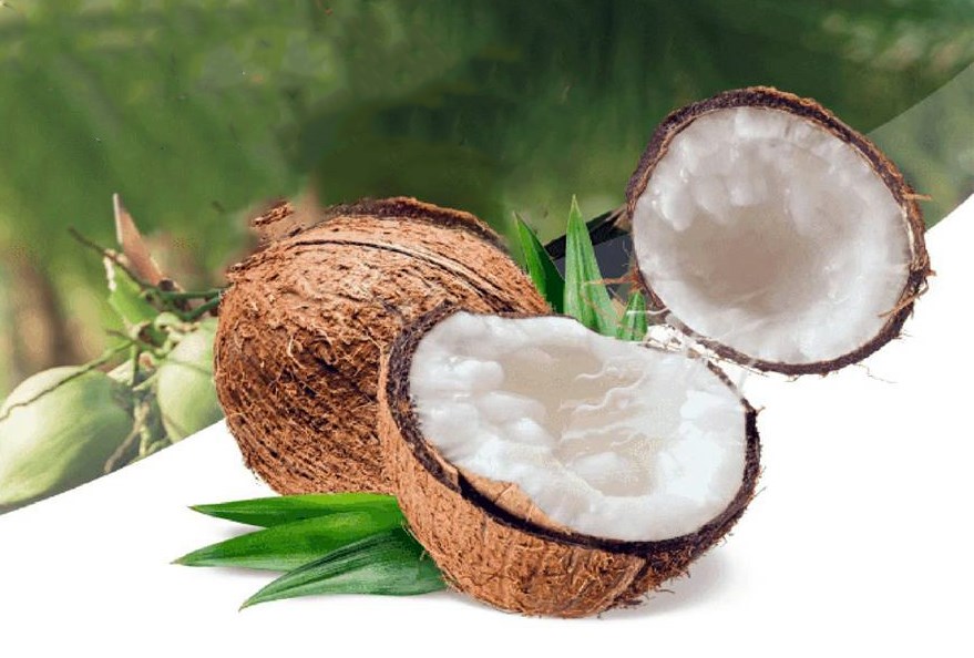 Festival 100 năm Dừa sáp Trà Vinh “Hương vị miền đất phúc” - ảnh 3