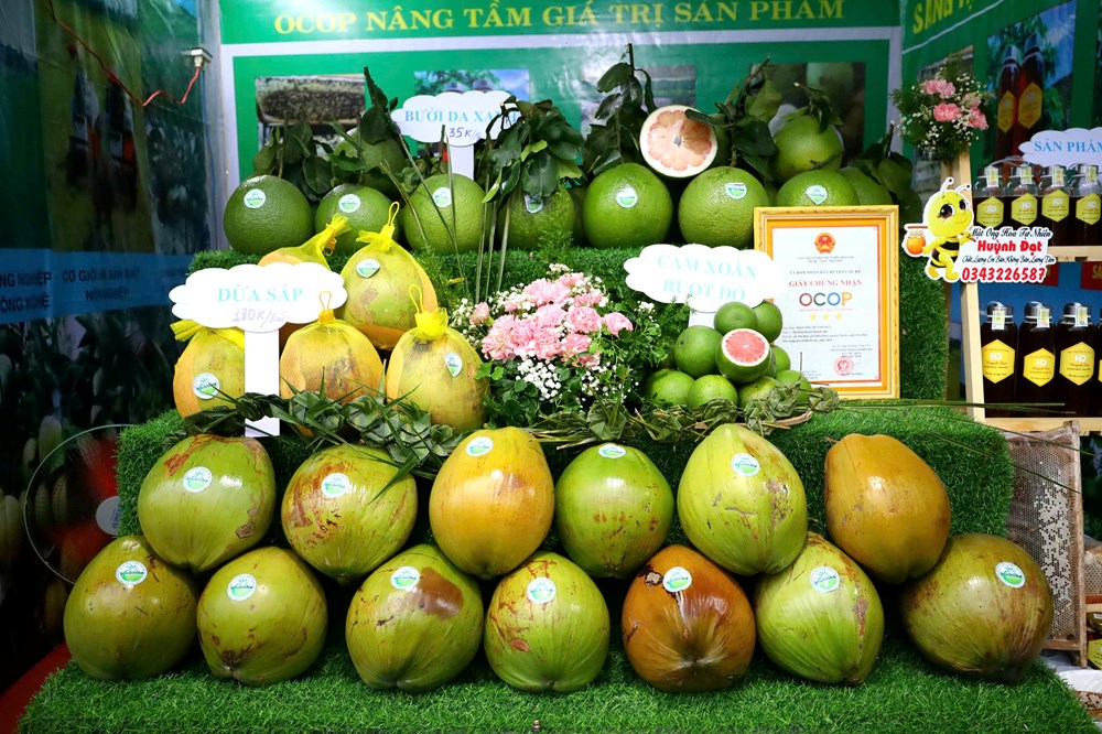 Festival 100 năm Dừa sáp Trà Vinh “Hương vị miền đất phúc” - ảnh 2
