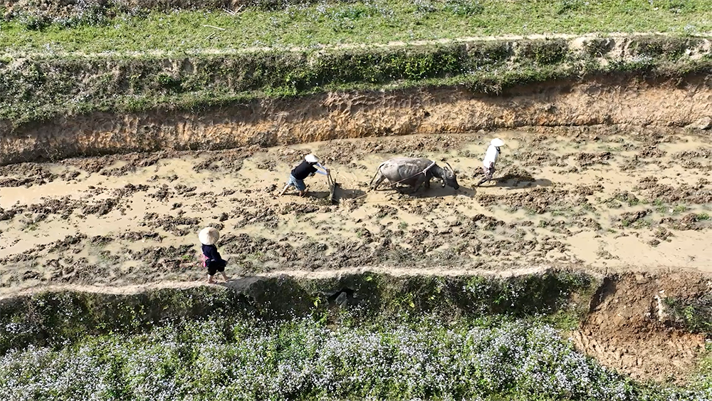 “Gia đình Haha” ra mắt ca khúc chủ đề sôi động, nhiều cảm xúc - ảnh 3
