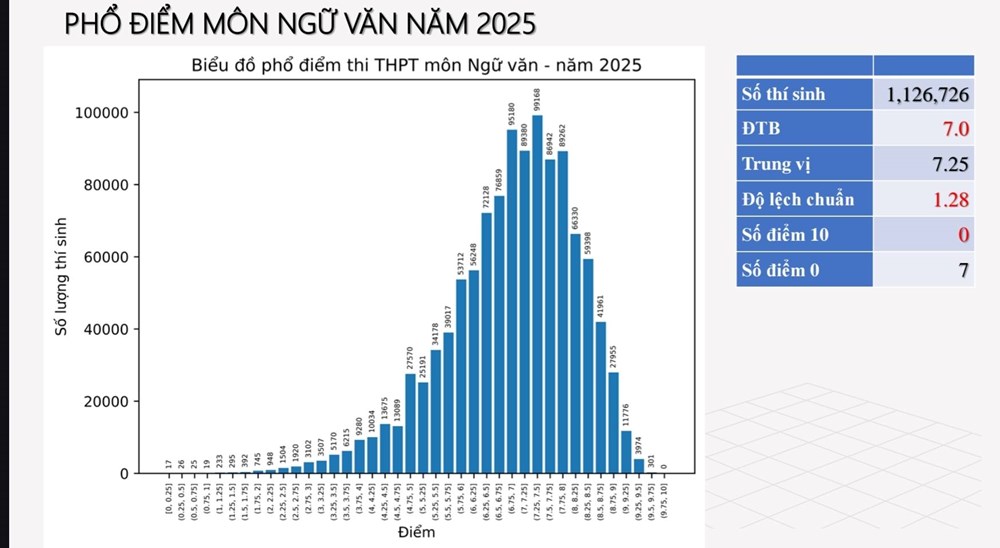 Điểm trung bình môn Ngữ văn giảm nhẹ - ảnh 2