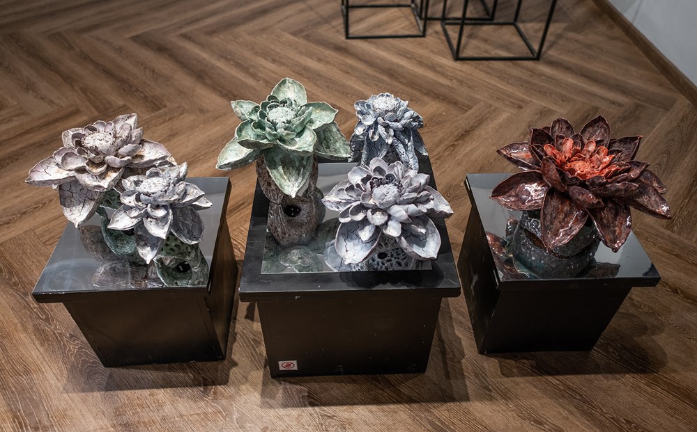 Triển lãm 'Khu vườn Hạnh phúc' – Bản hòa ca đẹp về gốm - ảnh 11