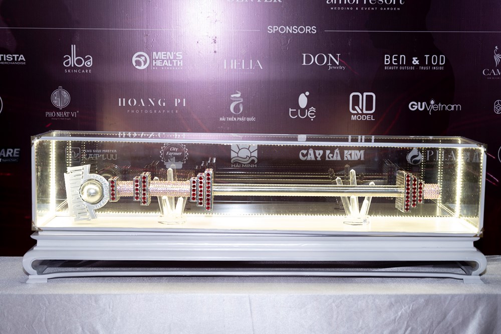 Công bố cuộc thi Nam vương Manhunt Vietnam 2025 - ảnh 3