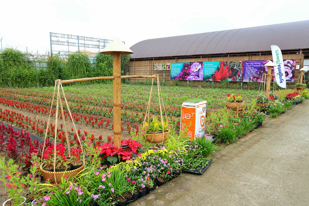 Đồng Tháp tổ chức Festival Hoa - Kiểng Sa Đéc lần II năm 2025 'Sắc hoa ngày mới' - ảnh 6