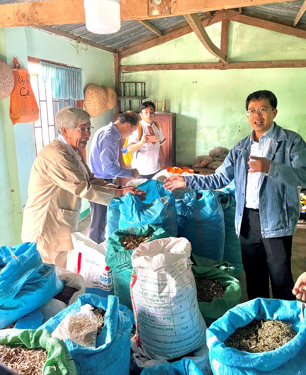 “Đánh thức” tiềm năng du lịch chữa lành từ di sản thuốc Nam của đồng bào Chăm - ảnh 6