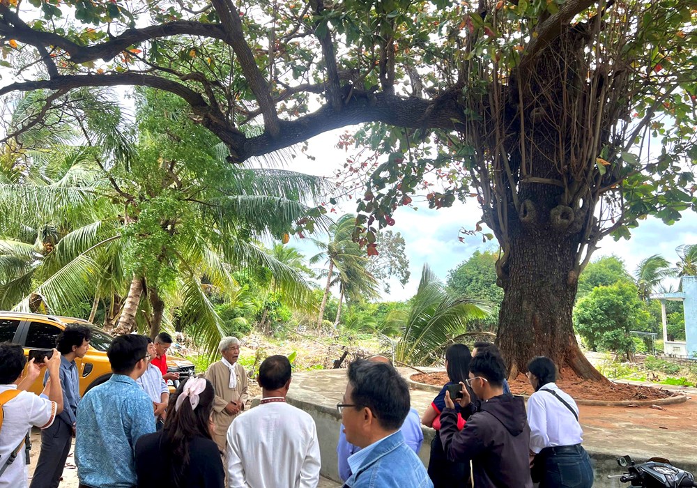 “Đánh thức” tiềm năng du lịch chữa lành từ di sản thuốc Nam của đồng bào Chăm - ảnh 5