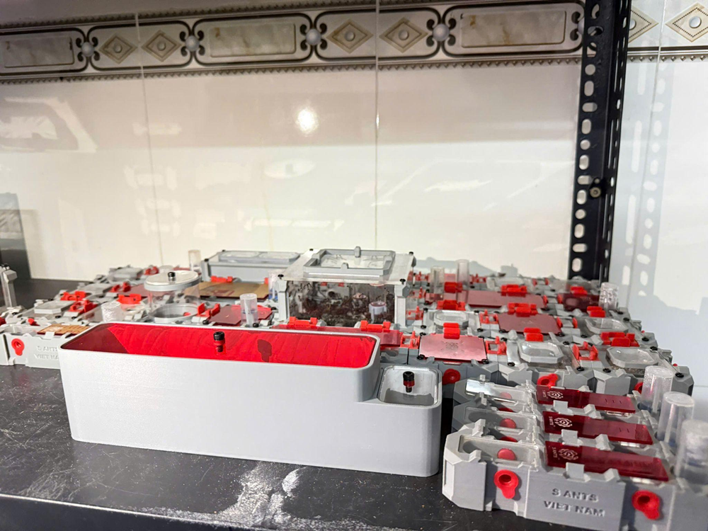 Độc lạ đam mê “chăn kiến“ - ảnh 4