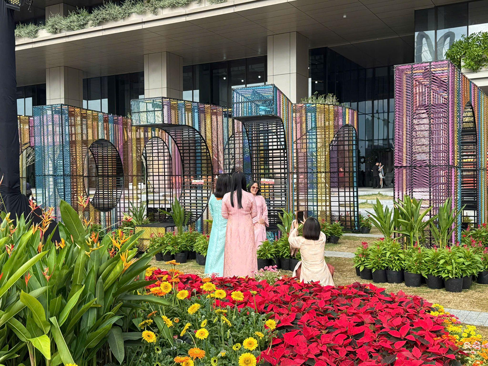 TP.HCM: Sắc xuân trong những khung hình - ảnh 2