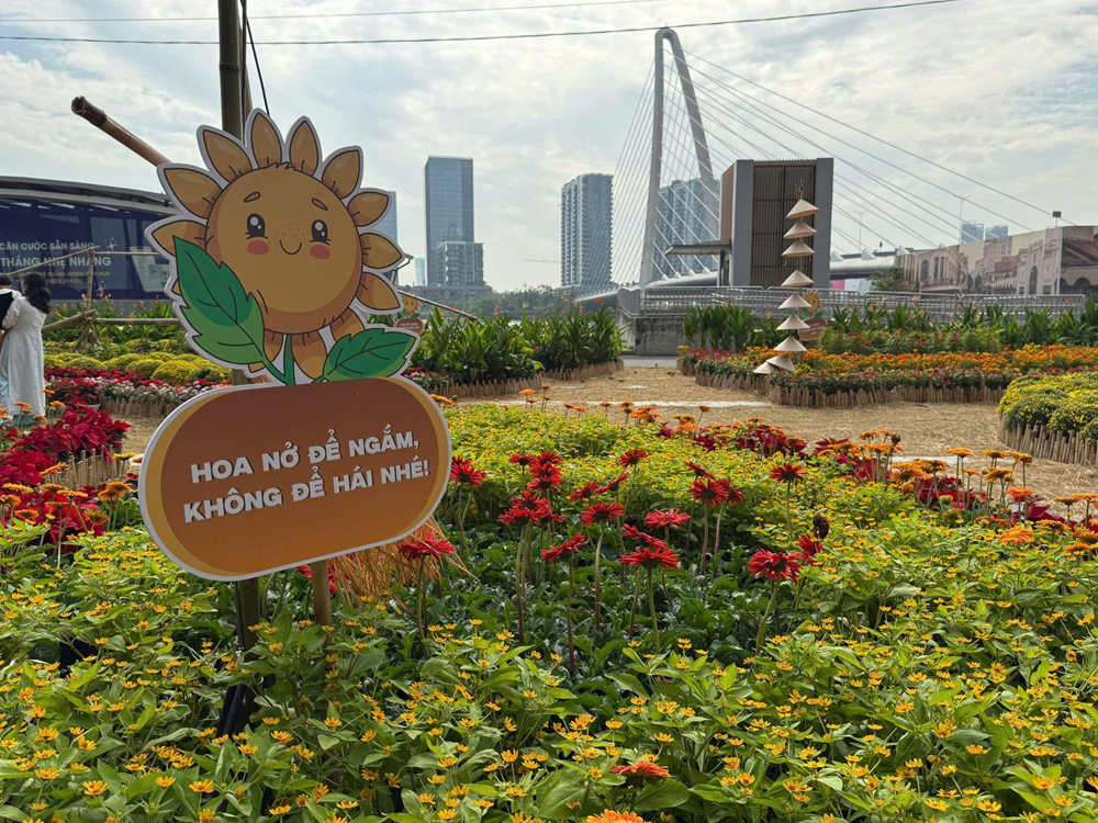 TP.HCM: Sắc xuân trong những khung hình - ảnh 5