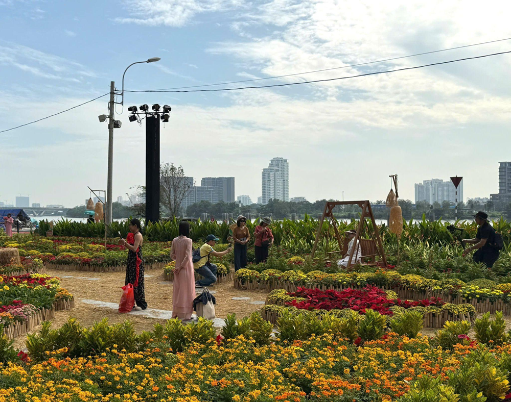 TP.HCM: Sắc xuân trong những khung hình - ảnh 6