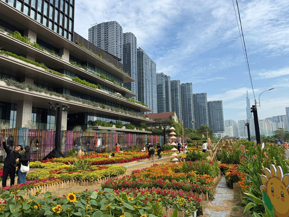 TP.HCM: Sắc xuân trong những khung hình - ảnh 7