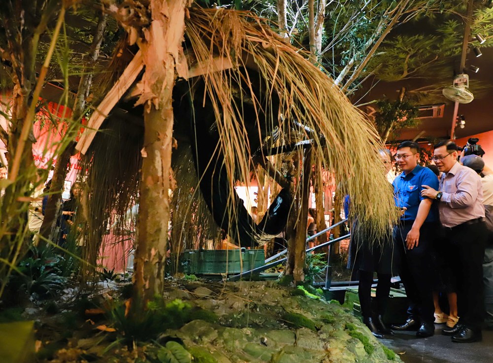 Khai mạc trưng bày chuyên đề “Thời thanh xuân trên tuyến đường 1C huyền thoại” - ảnh 11