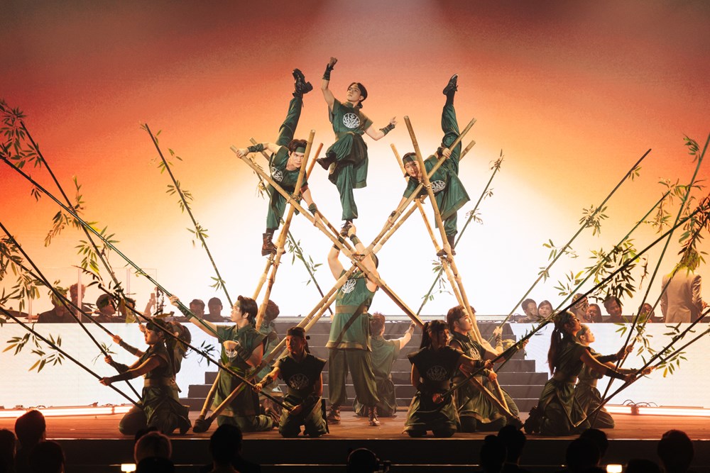 Tôn vinh những giá trị sáng tạo tiêu biểu của văn hóa – nghệ thuật Việt Nam - ảnh 9