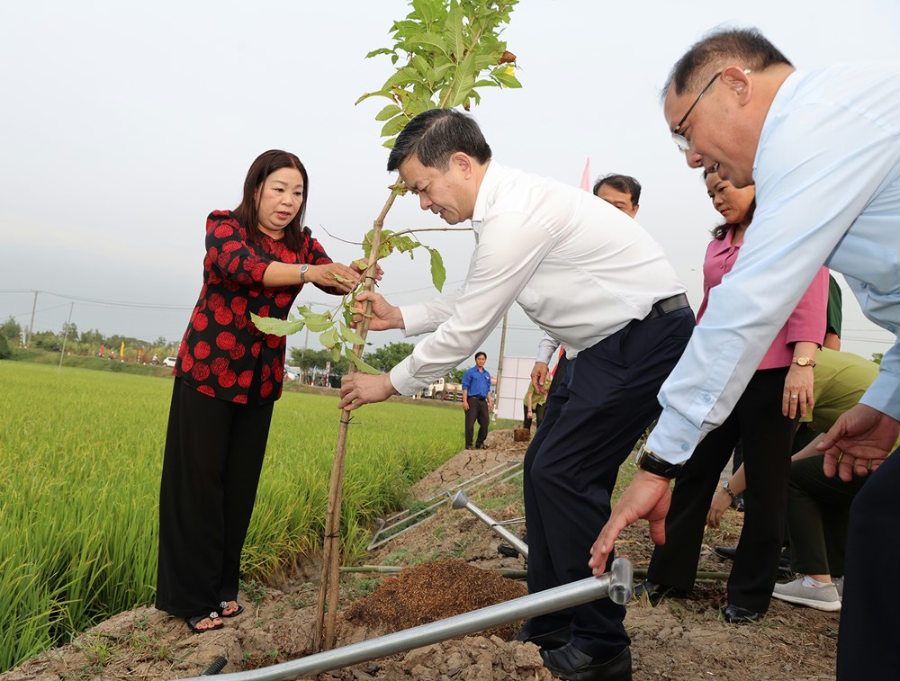 Cần Thơ phát động Tết trồng cây Xuân Bính Ngọ 2026 - ảnh 2
