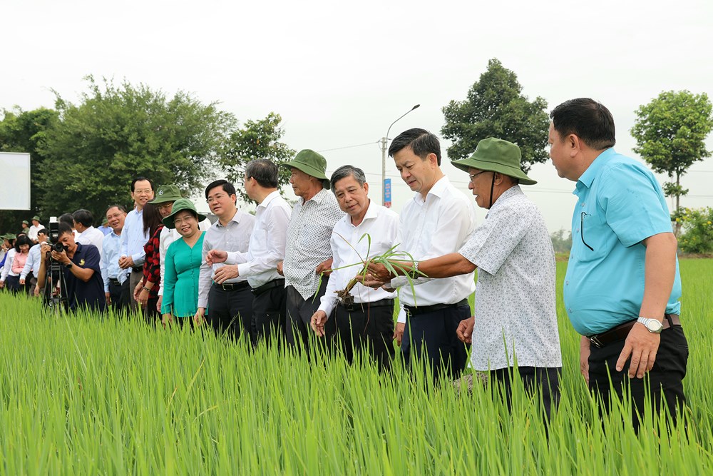 Cần Thơ phát động Tết trồng cây Xuân Bính Ngọ 2026 - ảnh 4