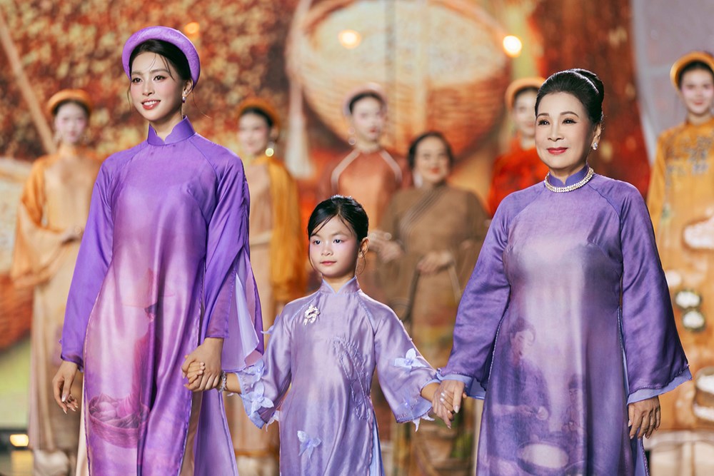 Hàng trăm nghệ sĩ, hoa hậu trình diễn áo dài trên phố đi bộ - ảnh 19