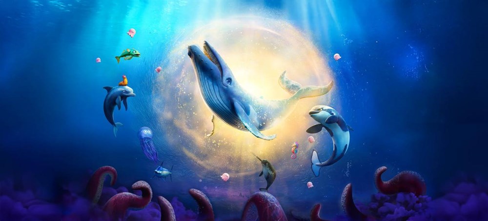 Hoạt hình Đức “Cá voi nhỏ chu du đại dương” ra rạp Việt từ 20.3 - ảnh 3