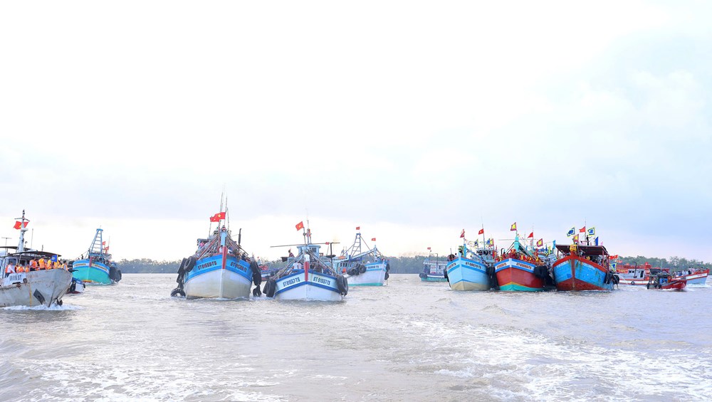 Cần Thơ tưng bừng Lễ hội Nghinh Ông 2026 của ngư dân vùng biển Trần Đề - ảnh 4