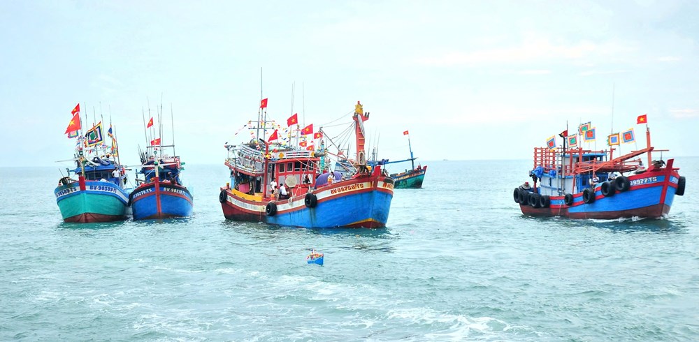 Lễ hội Nghinh Ông - TP.HCM: Để cộng đồng làm chủ di sản - ảnh 6