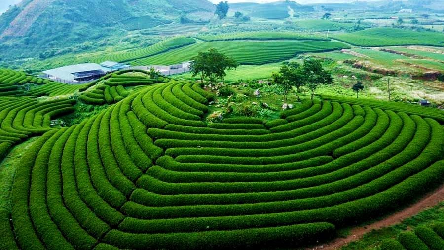 Nâng cao vị thế và thúc đẩy phát triển du lịch Mộc Châu - ảnh 2