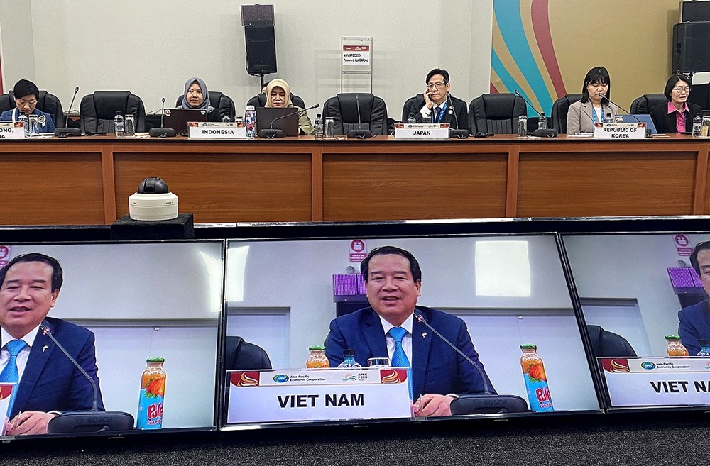 APEC: Thúc đẩy tăng trưởng và phát triển du lịch bền vững - ảnh 3