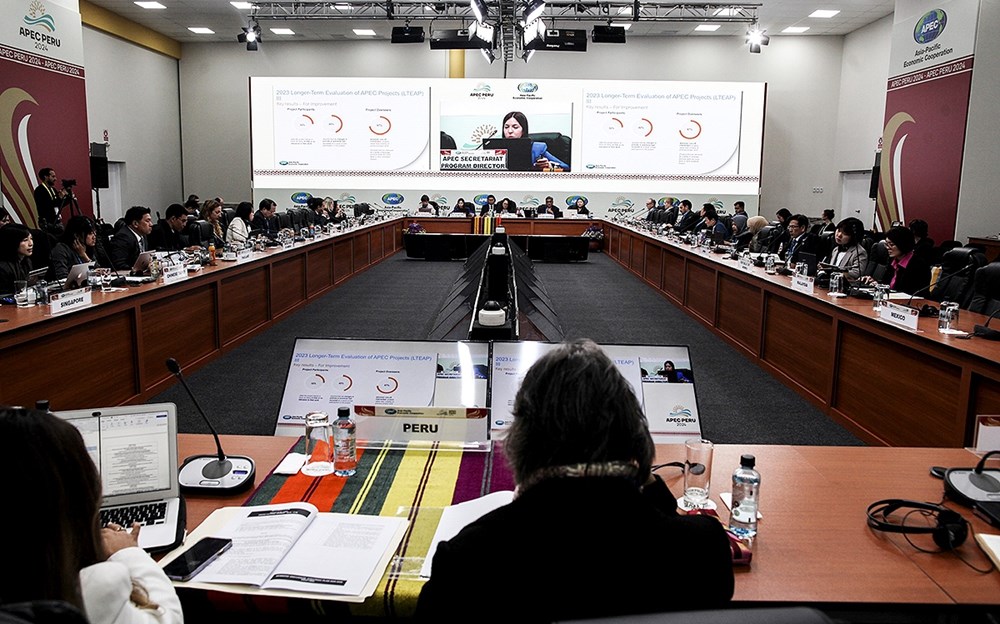 APEC: Thúc đẩy tăng trưởng và phát triển du lịch bền vững - ảnh 1