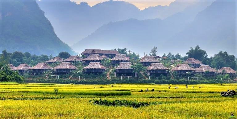 Đa dạng các hoạt động bảo tồn văn hóa - ảnh 6