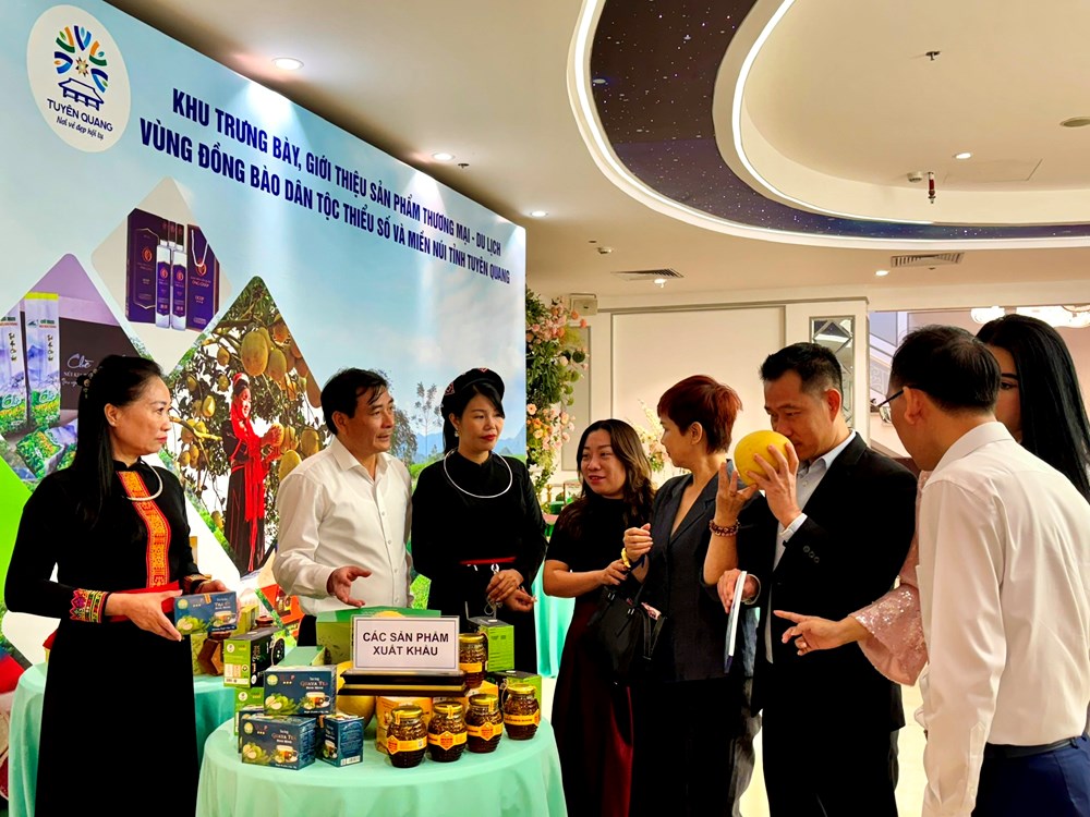 Thúc đẩy phát triển toàn diện đời sống đồng bào dân tộc thiểu số ở Tuyên Quang - ảnh 4