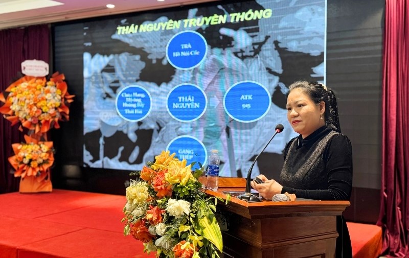 Thái Nguyên đẩy mạnh quảng bá du lịch gắn với văn hóa trà - ảnh 4
