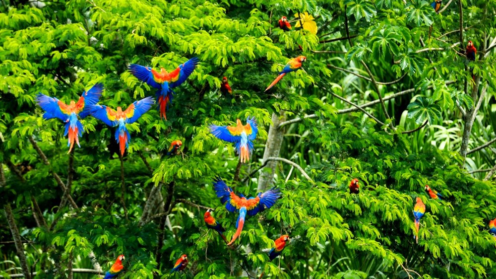 Hành trình đến những nơi xa xôi để bảo vệ Trái đất - ảnh 2