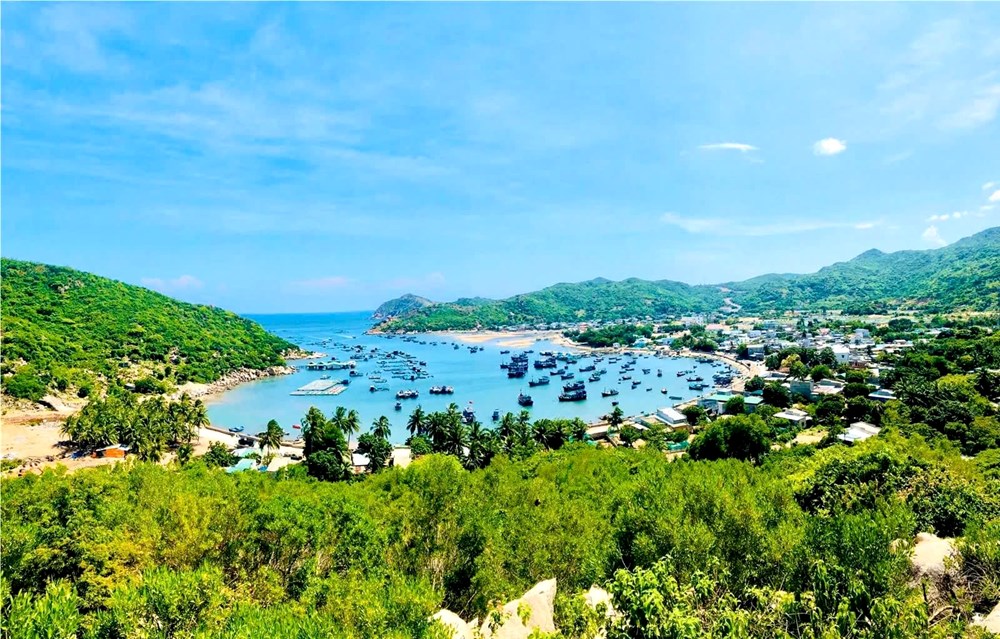 Từ Nice nhìn về tương lai đại dương - ảnh 2