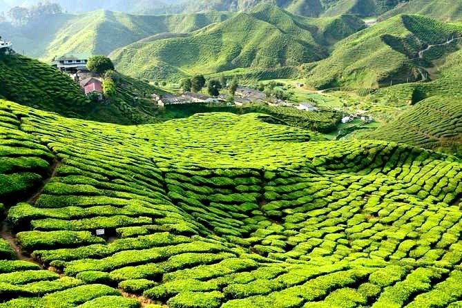 Khi chính sách là đòn bẩy tăng trưởng bền vững - ảnh 1