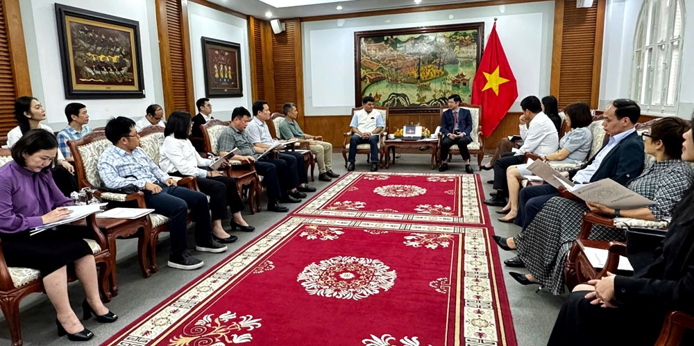 Quay phim ở Việt Nam, bán tour cho khách Ấn Độ - ảnh 1