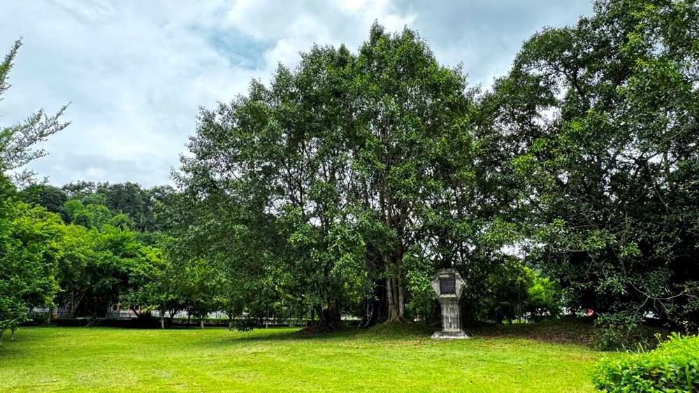 Tuyên Quang chạy đua với thời gian chuẩn bị tham gia Triển lãm Thành tựu đất nước 80 năm - ảnh 2