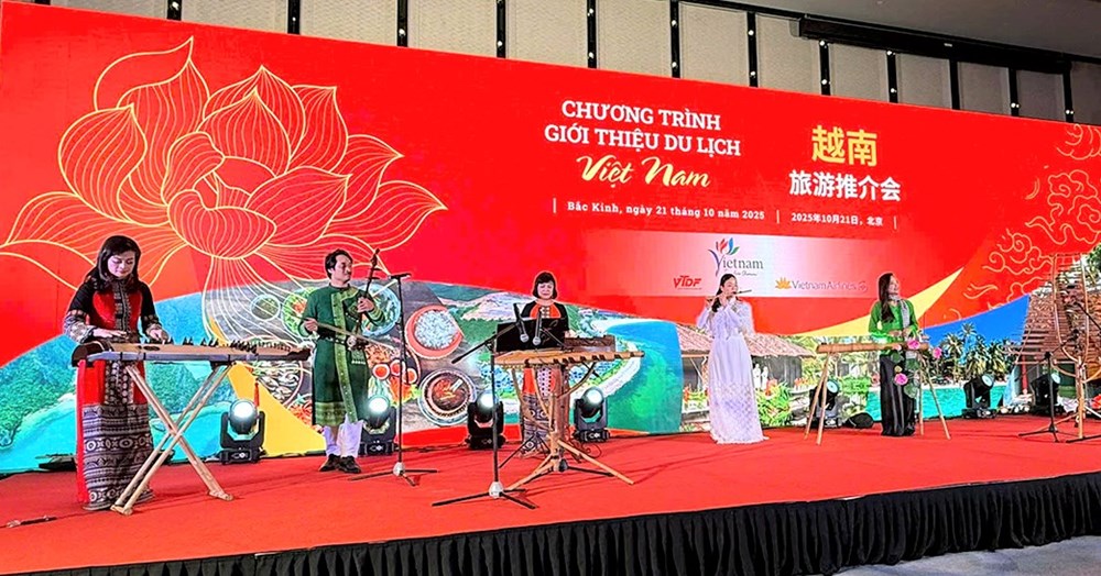 Du lịch Việt Nam chủ động xúc tiến thị trường, dẫn dắt xu thế - ảnh 3