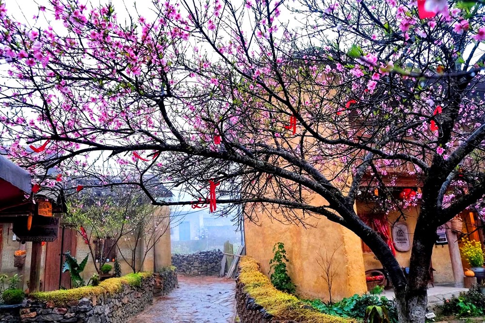 Không gian du lịch mở rộng và những mạch phát triển mới - ảnh 4