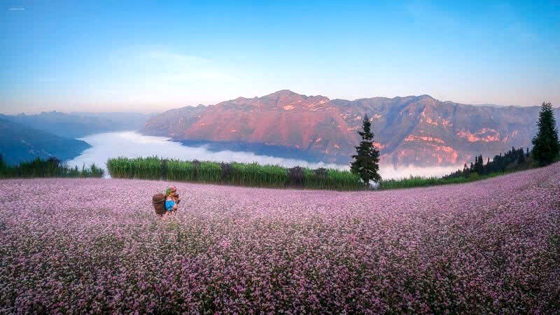 Không gian du lịch mở rộng và những mạch phát triển mới - ảnh 2