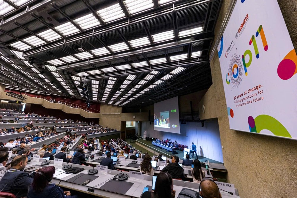 Thế giới cần phải cùng nhau hành động bảo vệ tương lai - ảnh 1