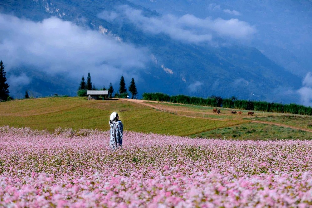 Cơ hội đón dòng khách lớn đến Tuyên Quang - ảnh 2