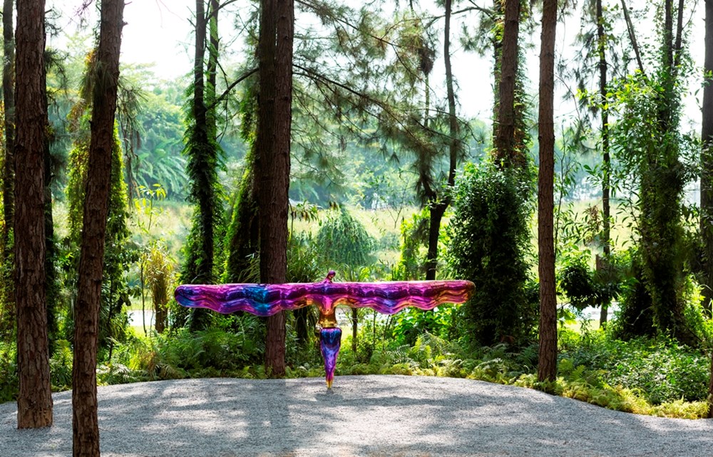 Đối thoại với nghệ thuật giữa thiên nhiên - ảnh 8