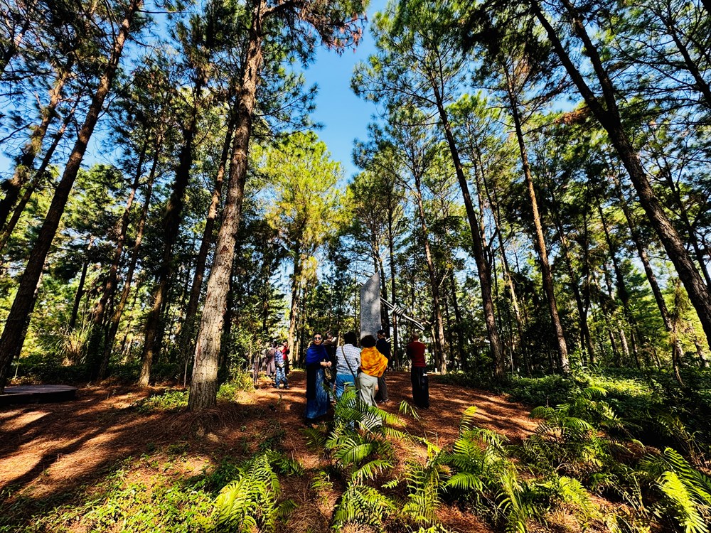 Đối thoại với nghệ thuật giữa thiên nhiên - ảnh 3